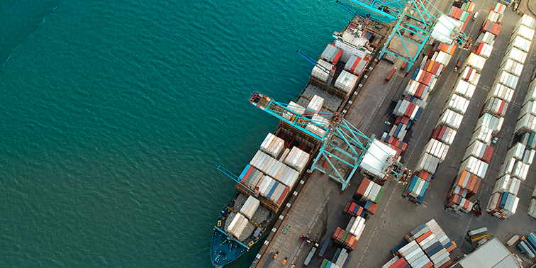 pexels-rafael-de-campos-Small2